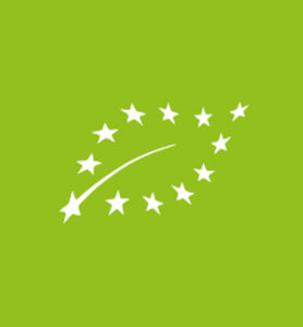 qfasf mesa de trabajo 1 01