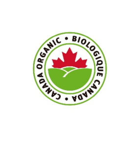 qfasf mesa de trabajo 1 05