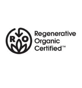 qfasf mesa de trabajo 1 07